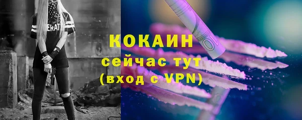 соль ск Белокуриха