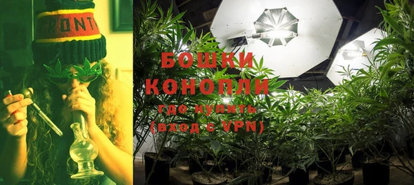 соль ск Белокуриха