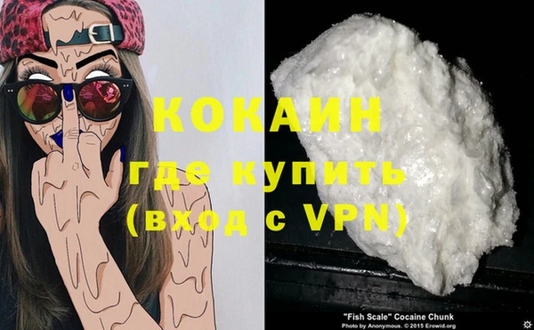 соль ск Белокуриха