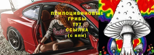меф Новодвинск