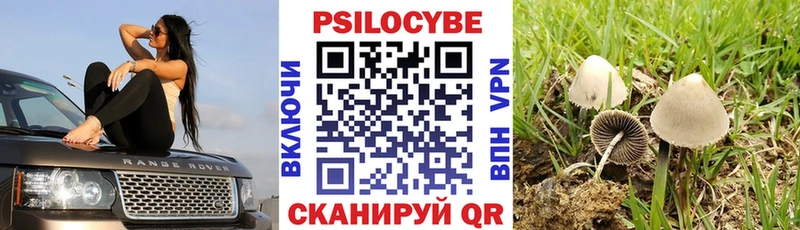 Псилоцибиновые грибы ЛСД  Мезень 